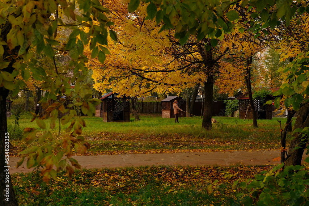 woman walking with a dog in autumn park with orange and yellow foliage around the age of 40, concept of autumn walks with pets
