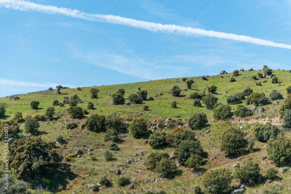 Obraz premium CAMPOS PRIMAVERA CASTILLA