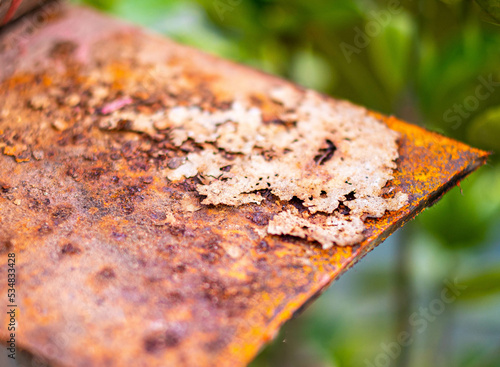 Old metal iron rust