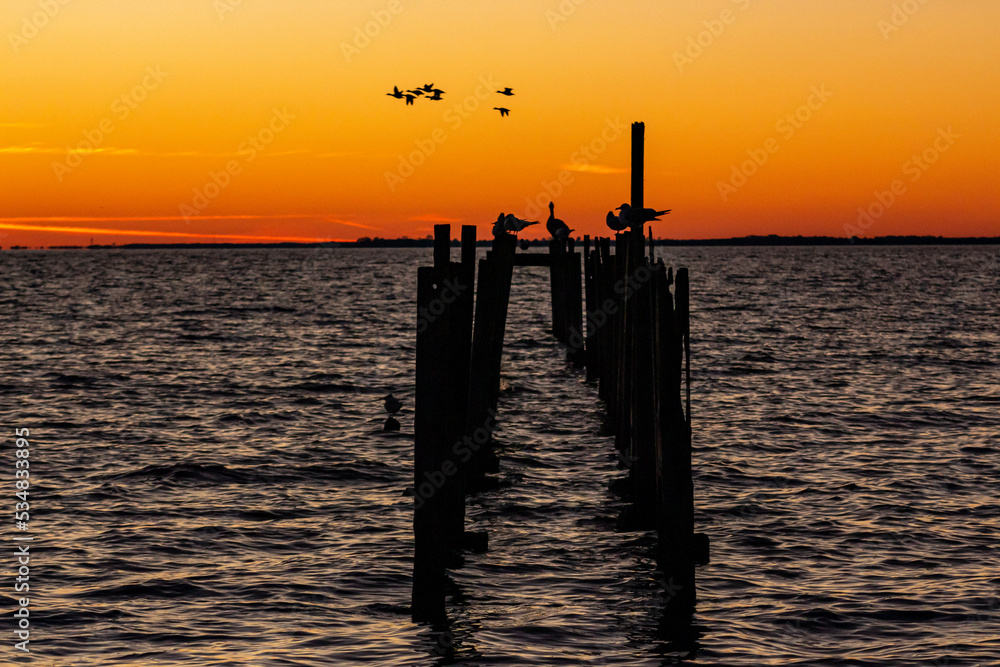 Obraz premium sunset on the beach