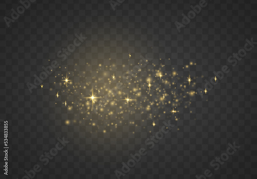 Fine  shiny dust bokeh particles fall off slightly. Blur sparks and golden stars sparkle shine with special light. Blurred lights isolated on transparent background. Christmas concept. Vector
