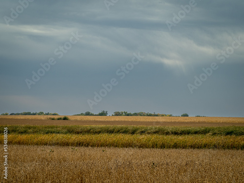 Prairie field awaiting harvest