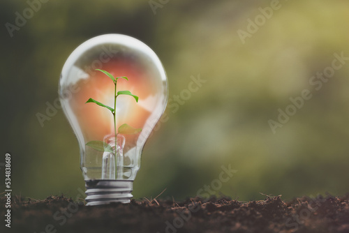 alternative energy, Renewable Energy, saving energy, electricity light lamp from solar and finance, finance banking growth, energy stock investment, World Caring Day, world environment day concept