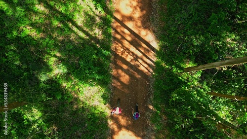 Walking through the woods in Morro Reuter, Rio Grande do Sul, Brazil