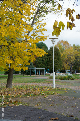 秋の公園
 photo