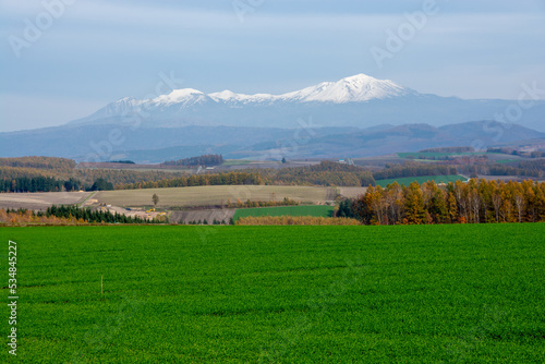 緑の草原と冠雪の山並み 大雪山 