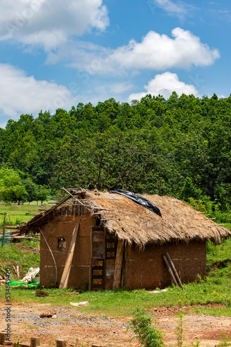 A beautiful rural home of Jhargram West Bengal with flowers in foreground and blue sky and white clouds in background. Rural village house of India.