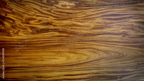  Golden wood skin .Space background nature 