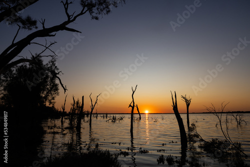 Stunning sunset with dead tree silhouettes at Lake Ninan, in the Wheatbelt Region of Western Australia.  © Reto Ammann