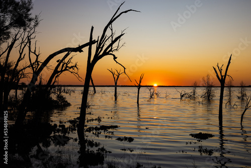 Stunning sunset with dead tree silhouettes at Lake Ninan  in the Wheatbelt Region of Western Australia. 