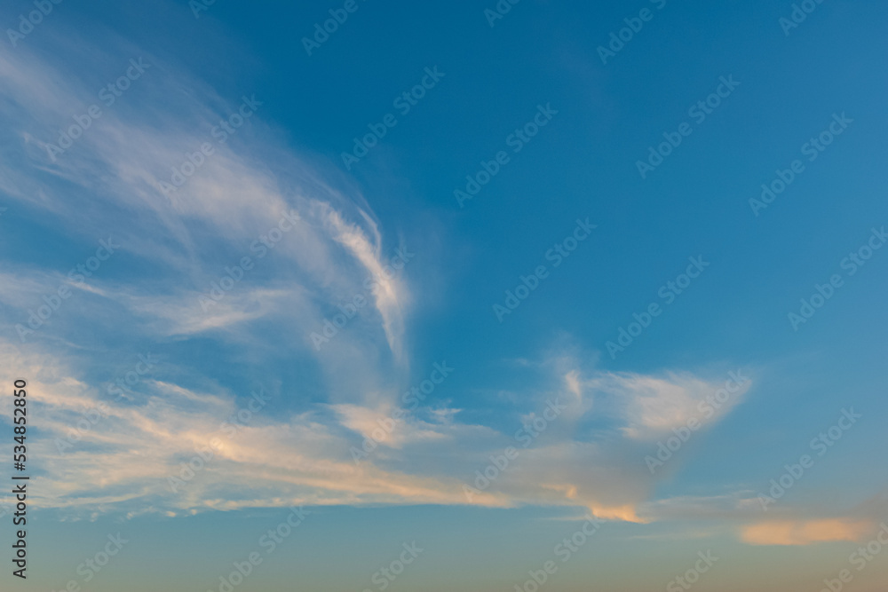 Obraz premium 羽ばたく朝空
