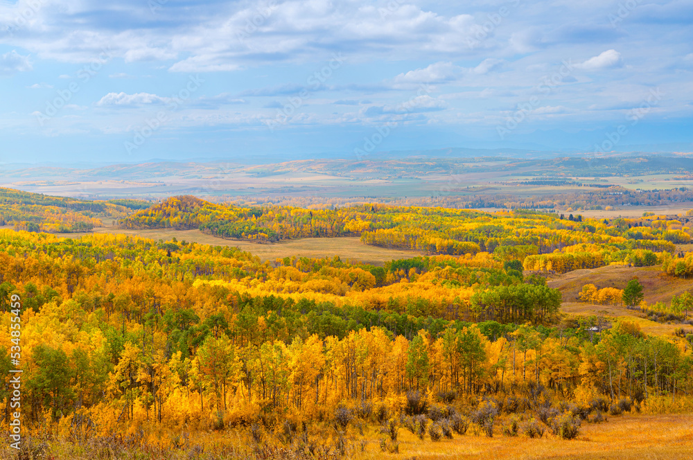 Fototapeta premium Sweeping Panorama of Beautiful Alberta, Canada, Prairie Landscape in Autumn Colors
