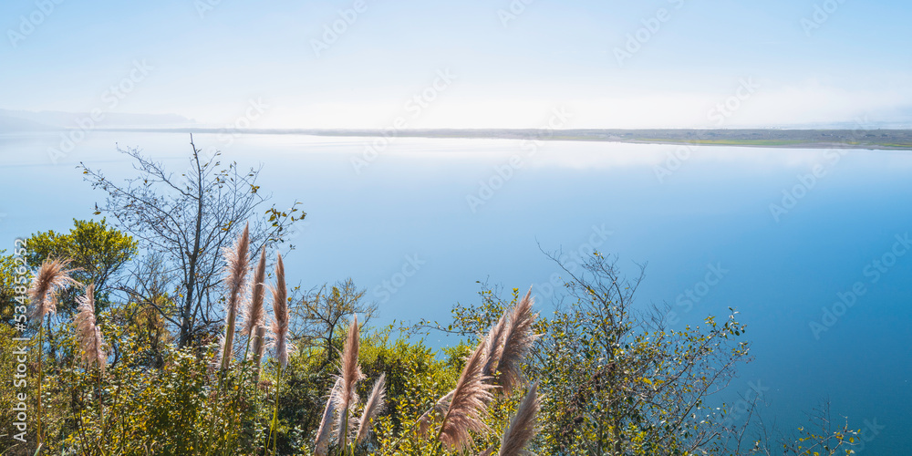 Northern California coastal road landscape on a foggy morning  in Redwoods State and National Forest park in California