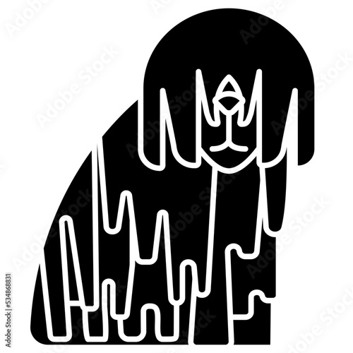 puli icon