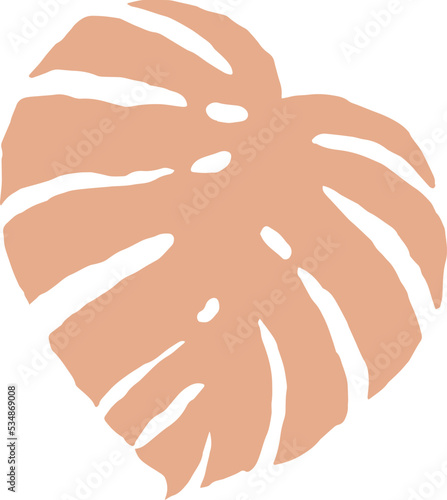 organic monstera leaf