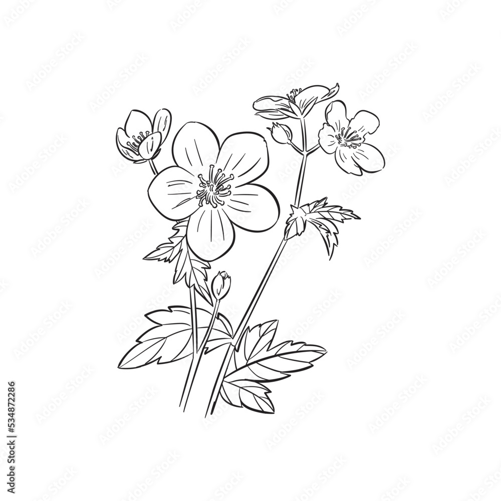 Flower icon design in hand drawn style