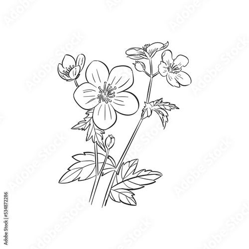 Flower icon design in hand drawn style