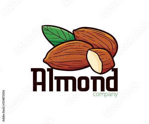 Funny almond company logo template