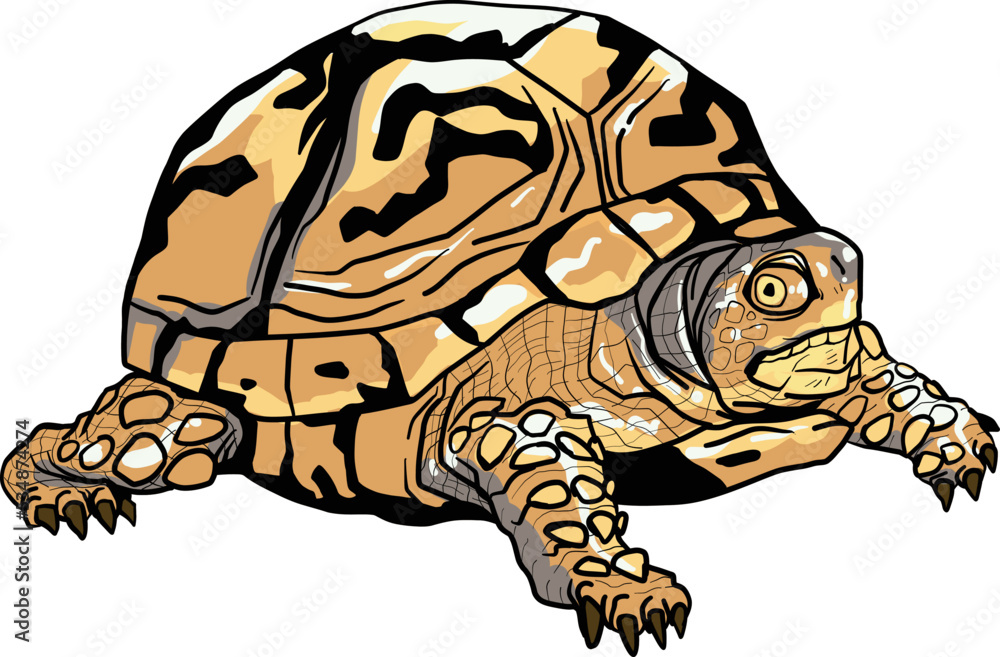 Fototapeta premium Yellow turtle vectors art style drawing artistic