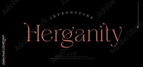 Modern luxury alphabet letters font. Typography Elegant classic serif fonts and number decorative logo wedding vintage retro concept. vector illustration