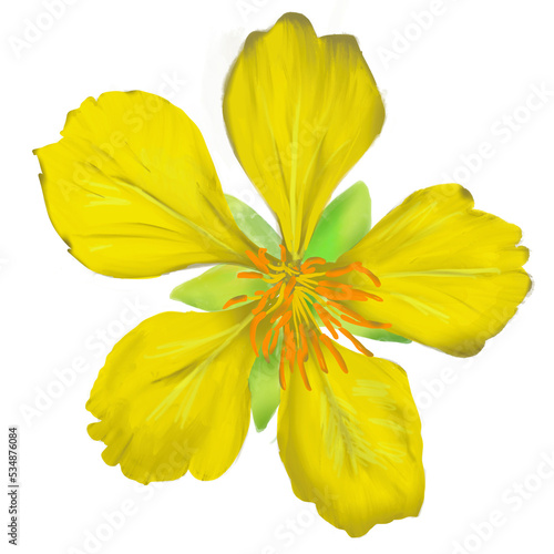 yellow flower mikkymouse