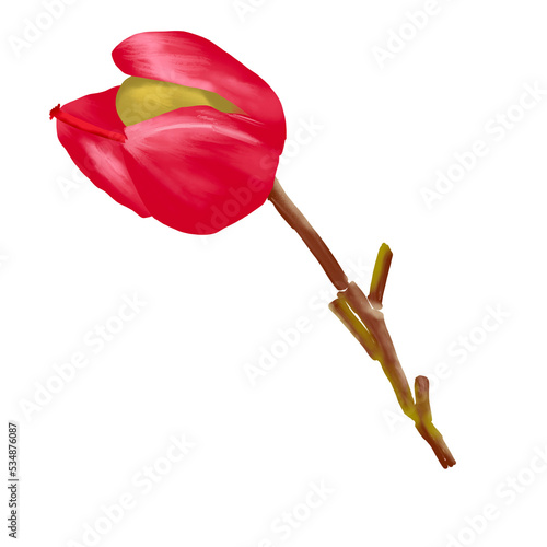 yellow flower mikkymouse