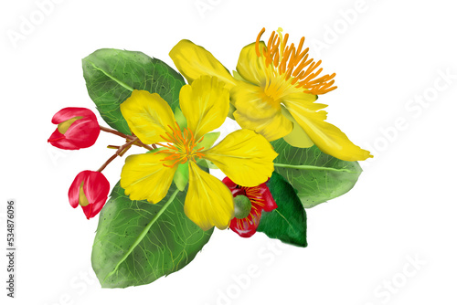 yellow flower mikkymouse