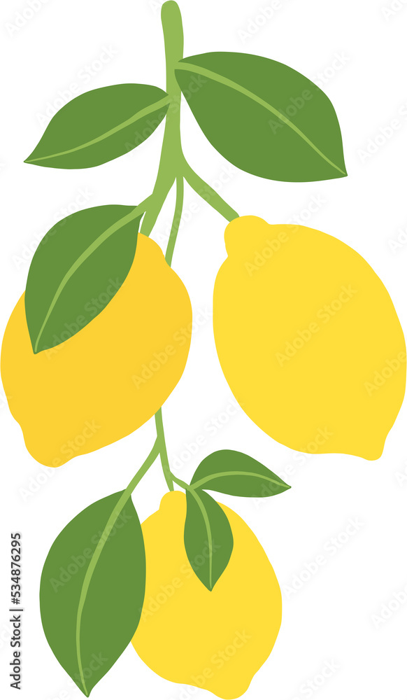 doodle freehand sketch drawing of lemon fruit.