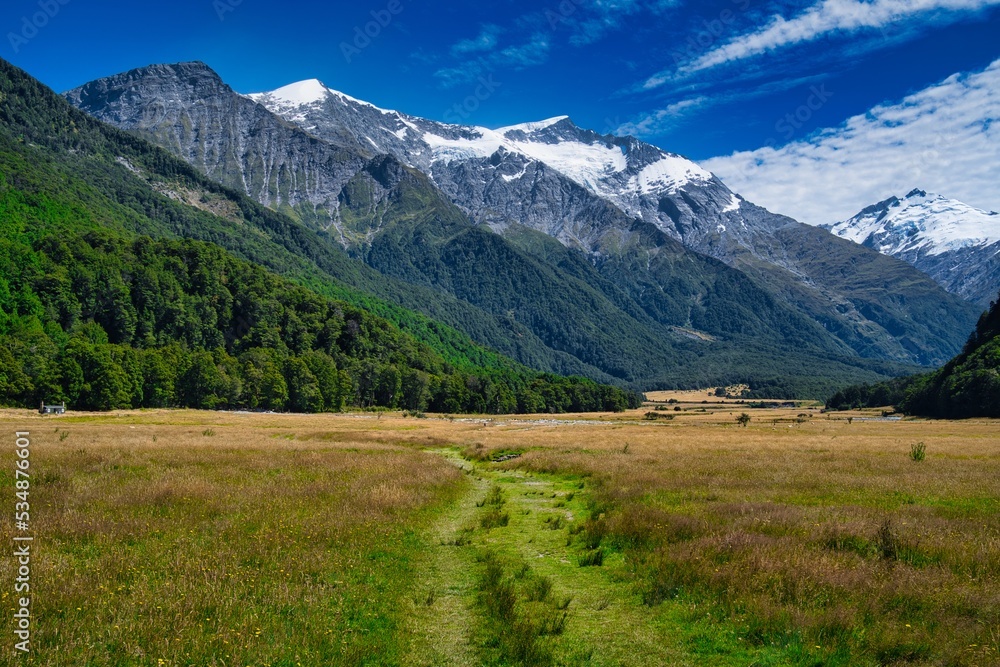 Matukituki Valley, Mt. Aspiring National Park, New Zealand