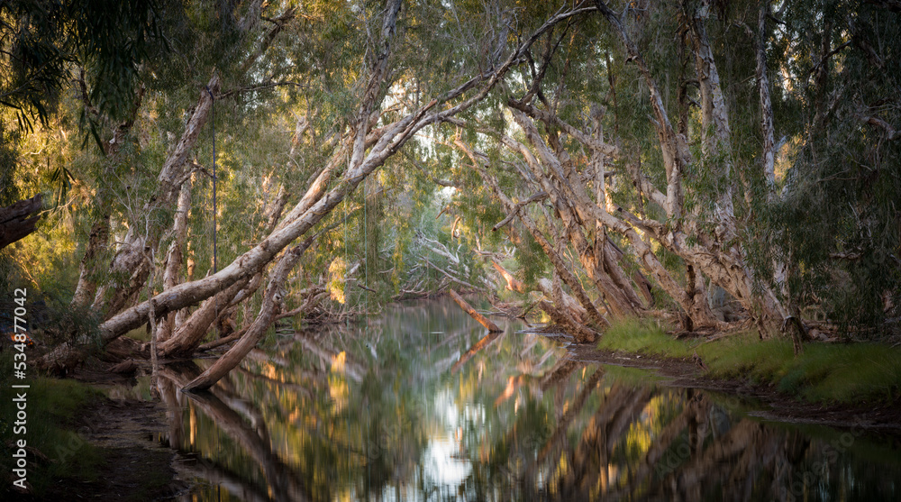 Eel pool at Running Waters Eel pool at Running Waters