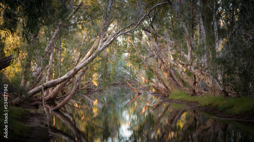 Eel pool at Running Waters