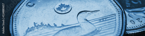 One Canadian dollar. Fragment of coins close up. Blue tinted banner or headline on the theme of economy or banking. Coins and money of Canada. News about the exchange rate or inflation