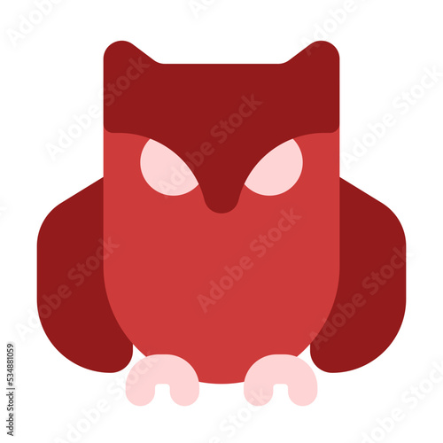 owl