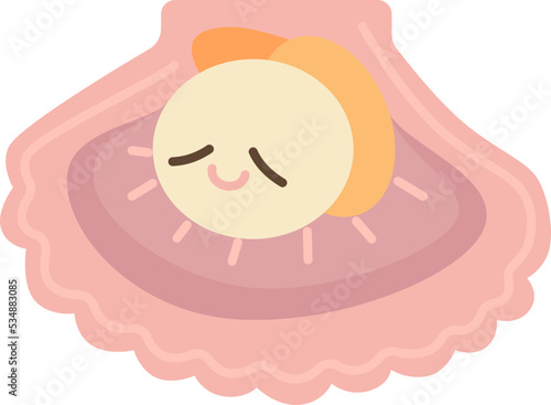 scallop icon