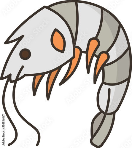 Shrimp icon