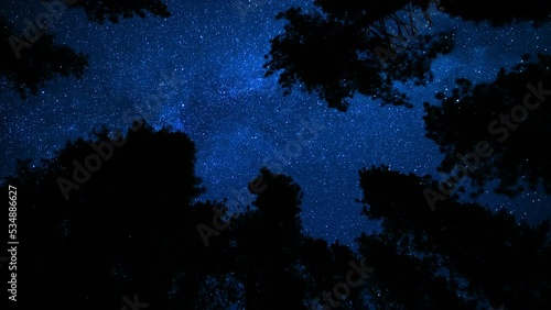 Sequoia National Park Perseid Meteor Shower and Milky Way Galaxy Looking Up Forest Tilt Up Sierra Nevada Mountains California USA
