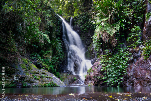 waterfall in the forest