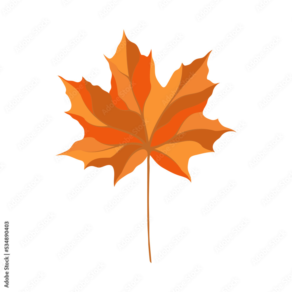 Fototapeta premium Autumn Maple Leaf