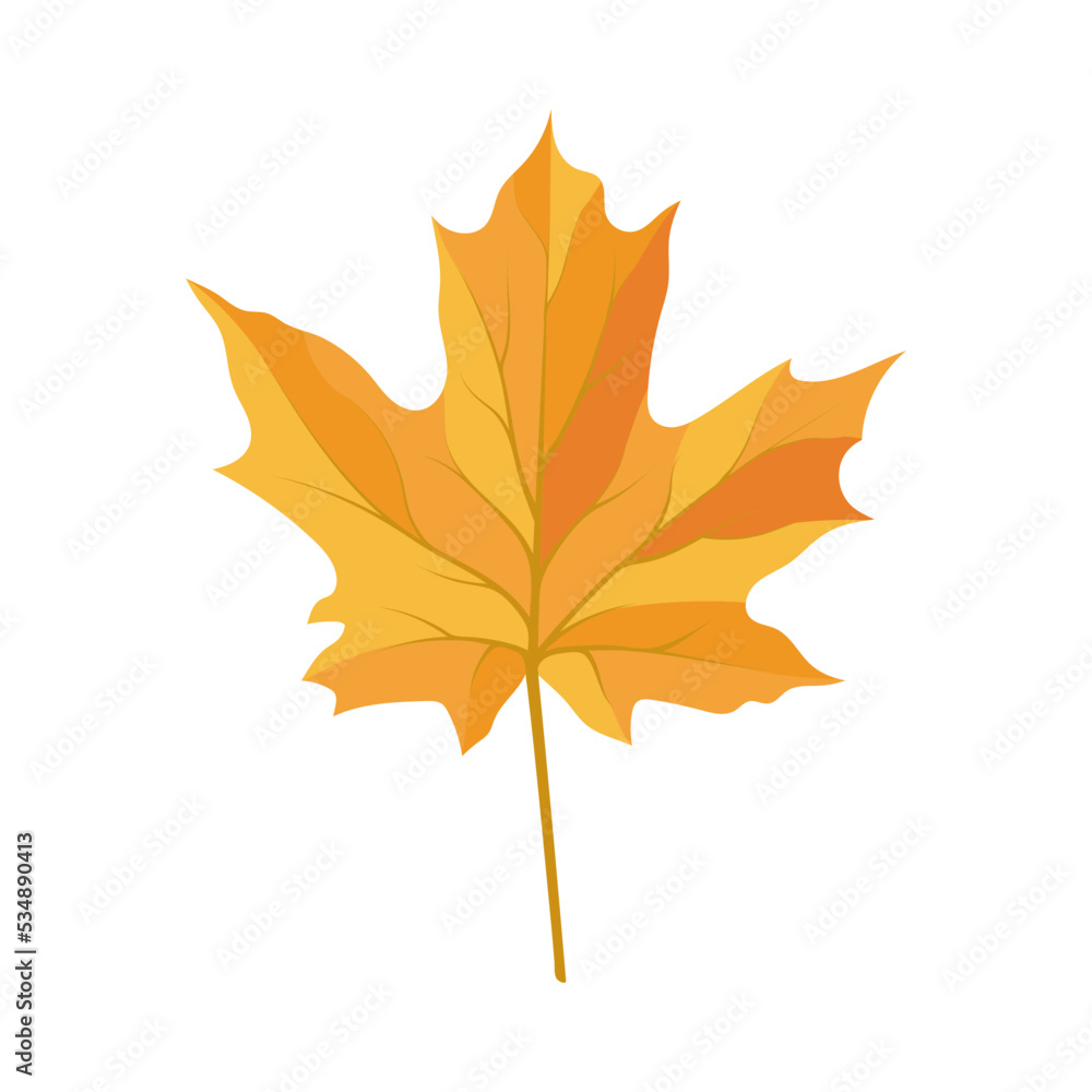 Obraz premium Autumn Maple Leaf