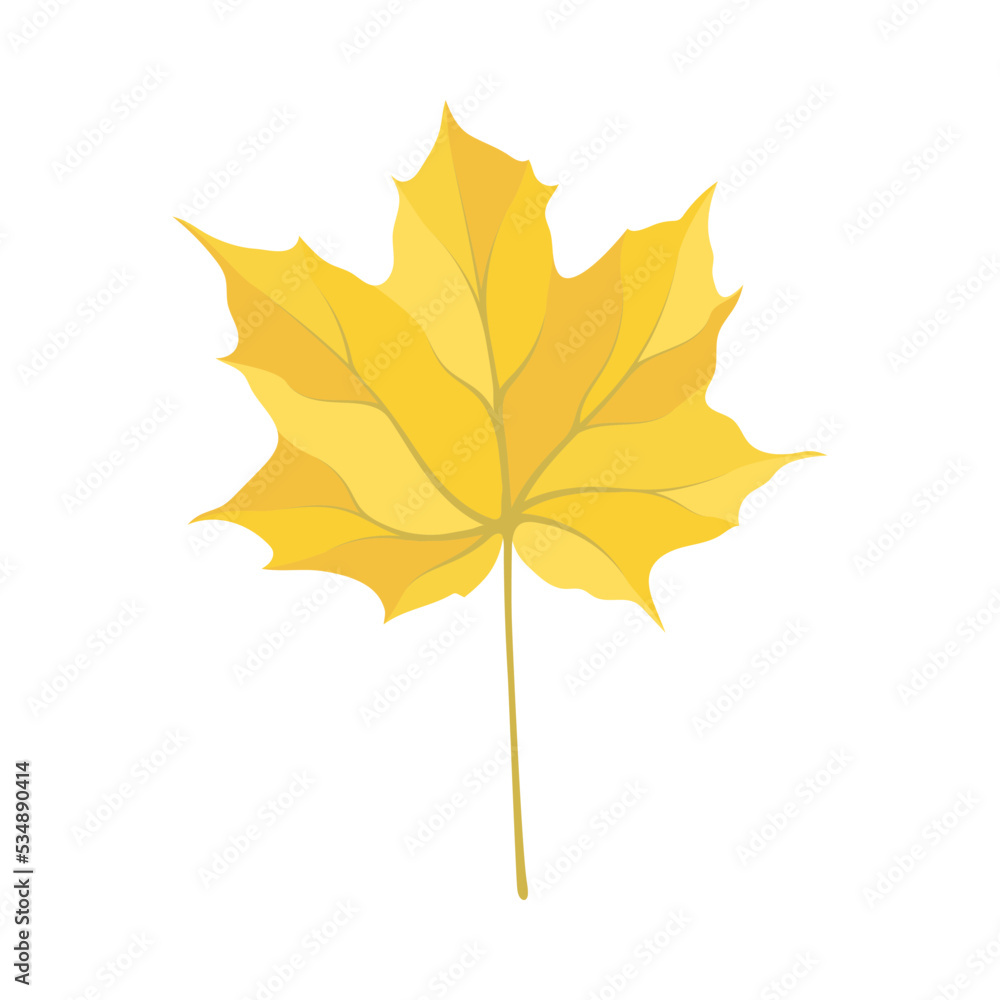 Obraz premium Autumn Maple Leaf
