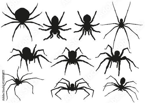 Halloween set Stickers Spiders © Osvaldo