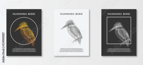 Wallpaper Mural Humming Birds. Set of vector posters with birds. Line art illustrations . Background images for cover, banner, poster. T-shirt print. Torontodigital.ca