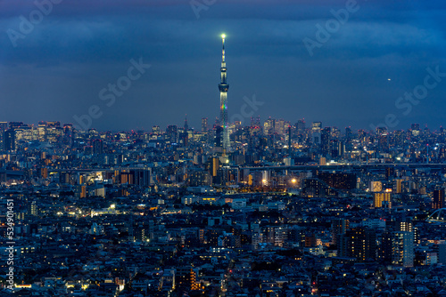 Greater Tokyo area night view with illuminated Tokyo Skytree at night.