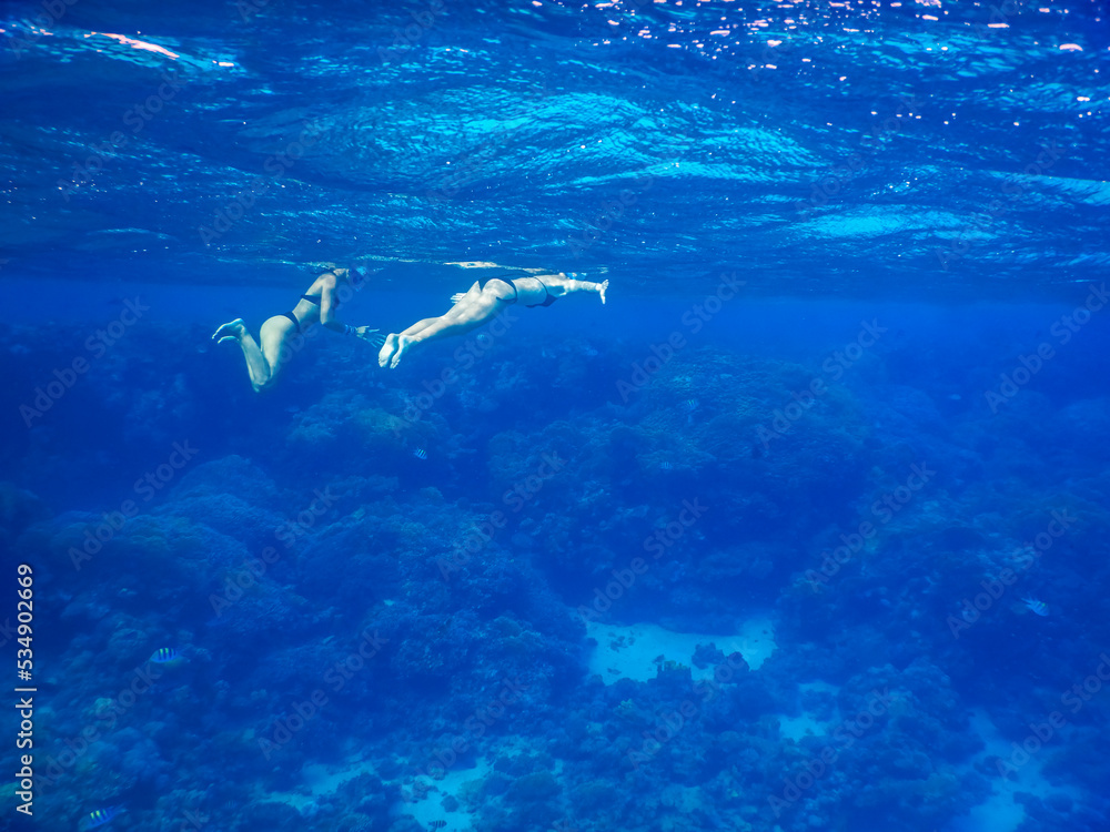 two young girls in black bikini swimming and snorkeling in clear blue sea water two young girls in black bikini swimming and snorkeling in clear blue sea water