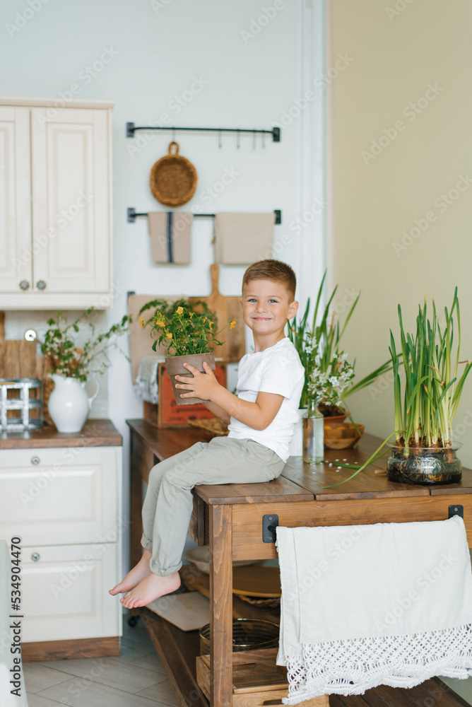 Boy child is sitting on the kitchen table and holding potted flowers in his hands Boy child is sitting on the kitchen table and holding potted flowers in his hands