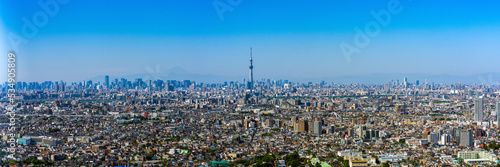 Panoramic View of Greater Tokyo area with Tokyo Skytree at daytime.