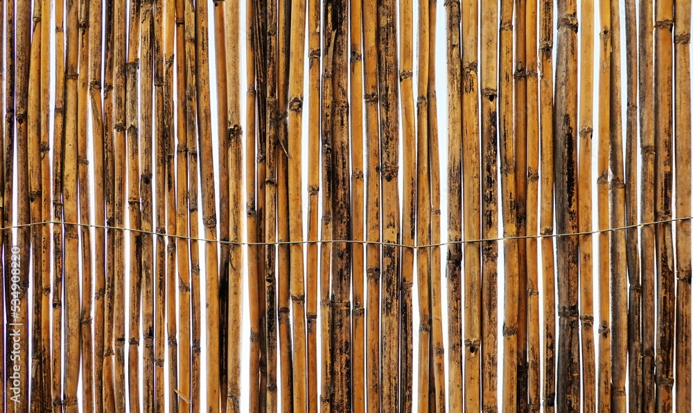 Cane Wall Texture. High quality photo of Dry Reed. Wallpaper Cane Wall Texture. High quality photo of Dry Reed. Wallpaper