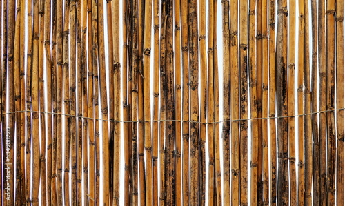 Cane Wall Texture. High quality photo of Dry Reed. Wallpaper