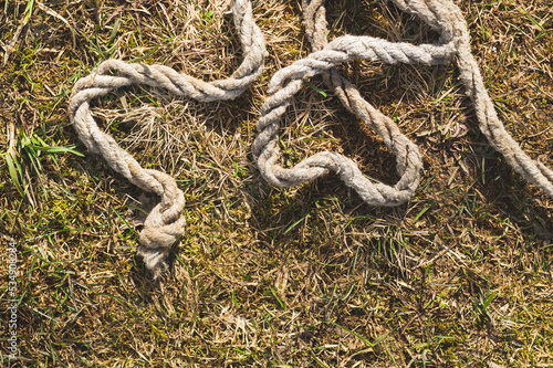 Old rope lies on the green grass