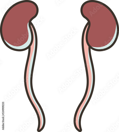 Ureter icon